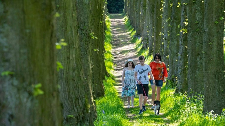 Visitors on Lady Lucy's Walk at Wentworth Castle Gardens, South Yorkshire