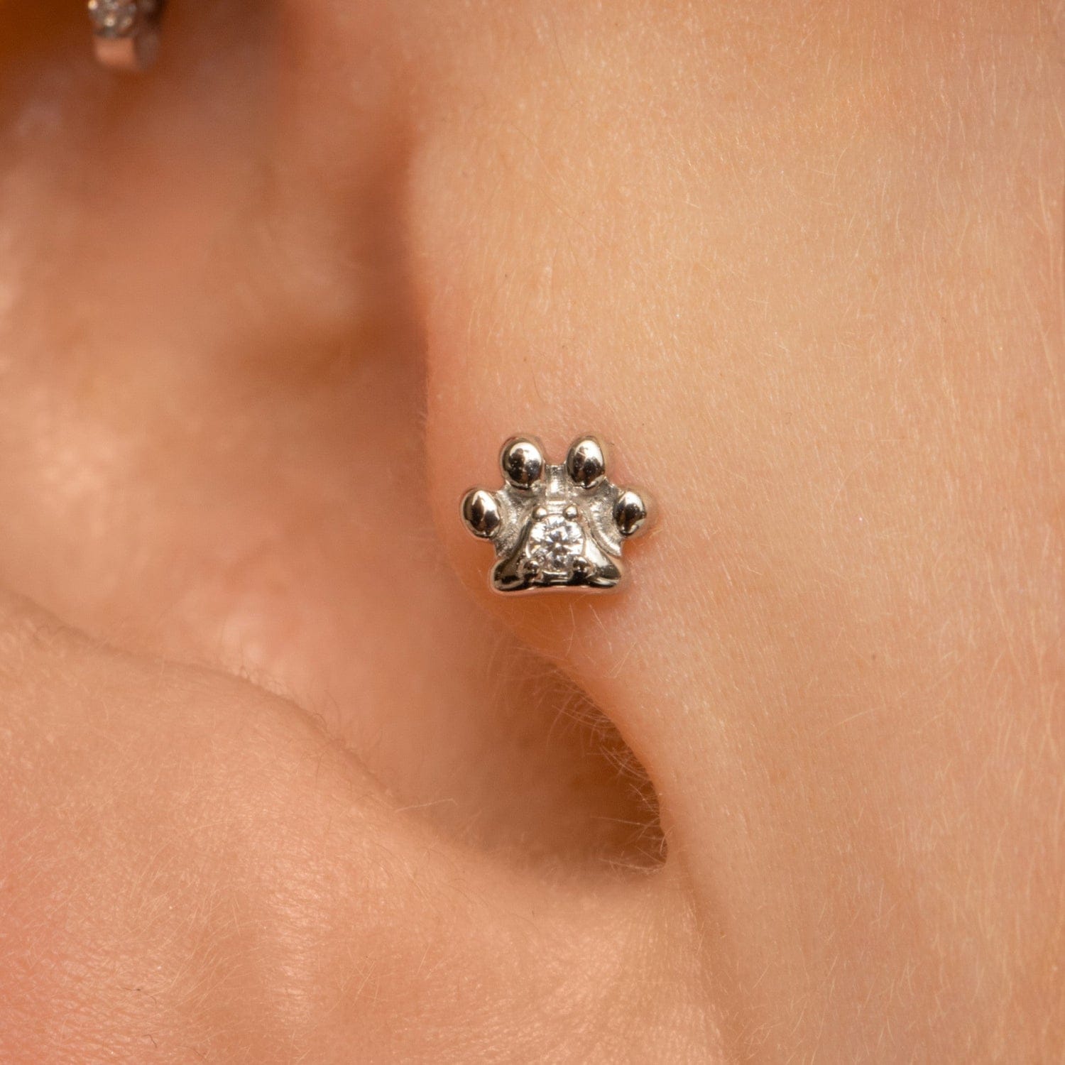 Cartilage studs