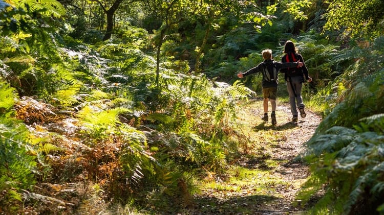 Is National Trust Worth It in 2026? An Honest Member's Guide